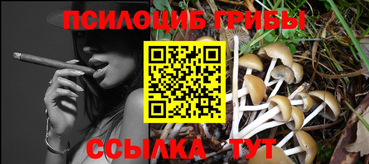 Псилоцибиновые грибы прущие грибы Курчатов