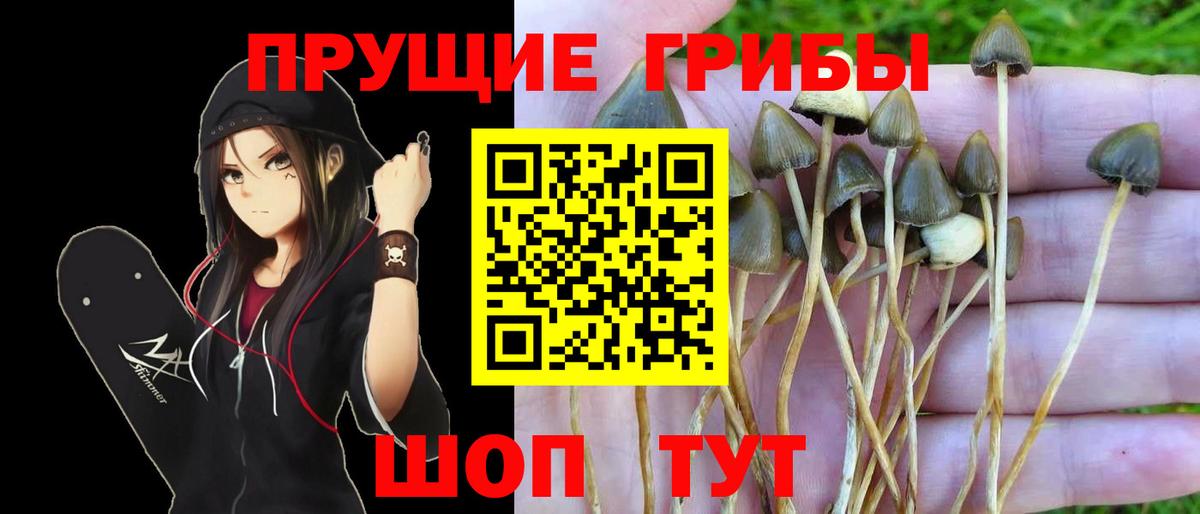 Галлюциногенные грибы Cubensis  Псилоцибиновые грибы мухоморы  Курчатов  Вход с VPN 